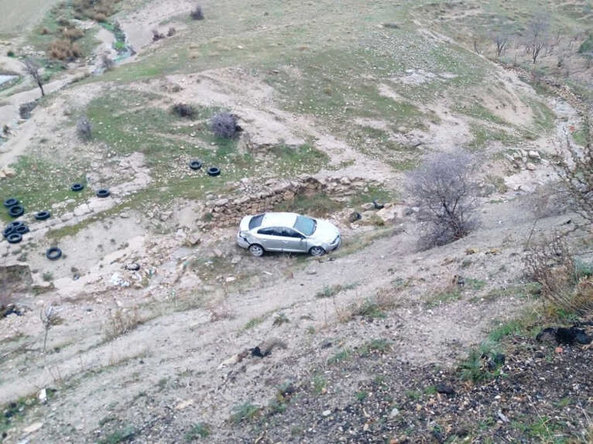Köpeğe Çarpmamak İçin Şarampole Uçtu, Yara Almadan Kurtuldu