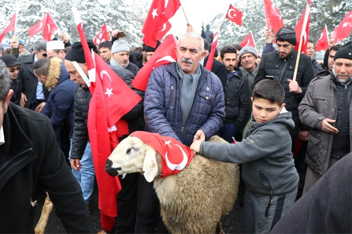 Mehmetçikler İçin Kurban Kesildi, Dua Edildi