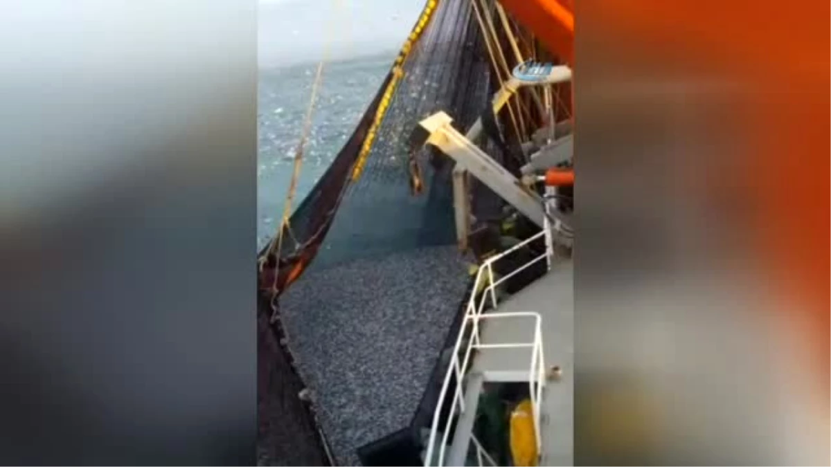 Ordulu Balıkçılar Hamsinin Peşinden Gürcistan\'a Gitti