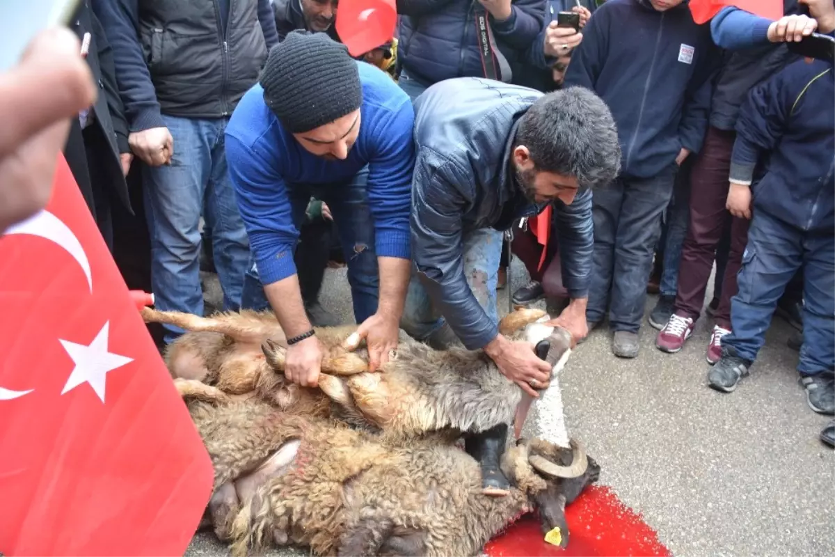 Oto Sanayi Esnafından Kınalı Kuzulara Destek