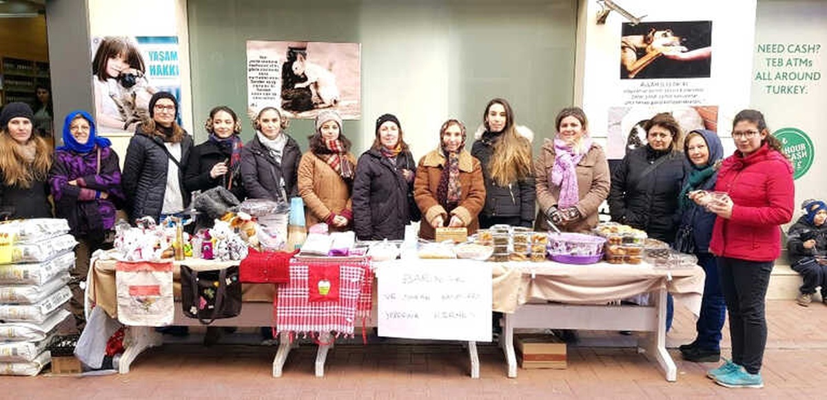 Sokak Canlılarına Destek İçin Kermes Yapıp Soyundular