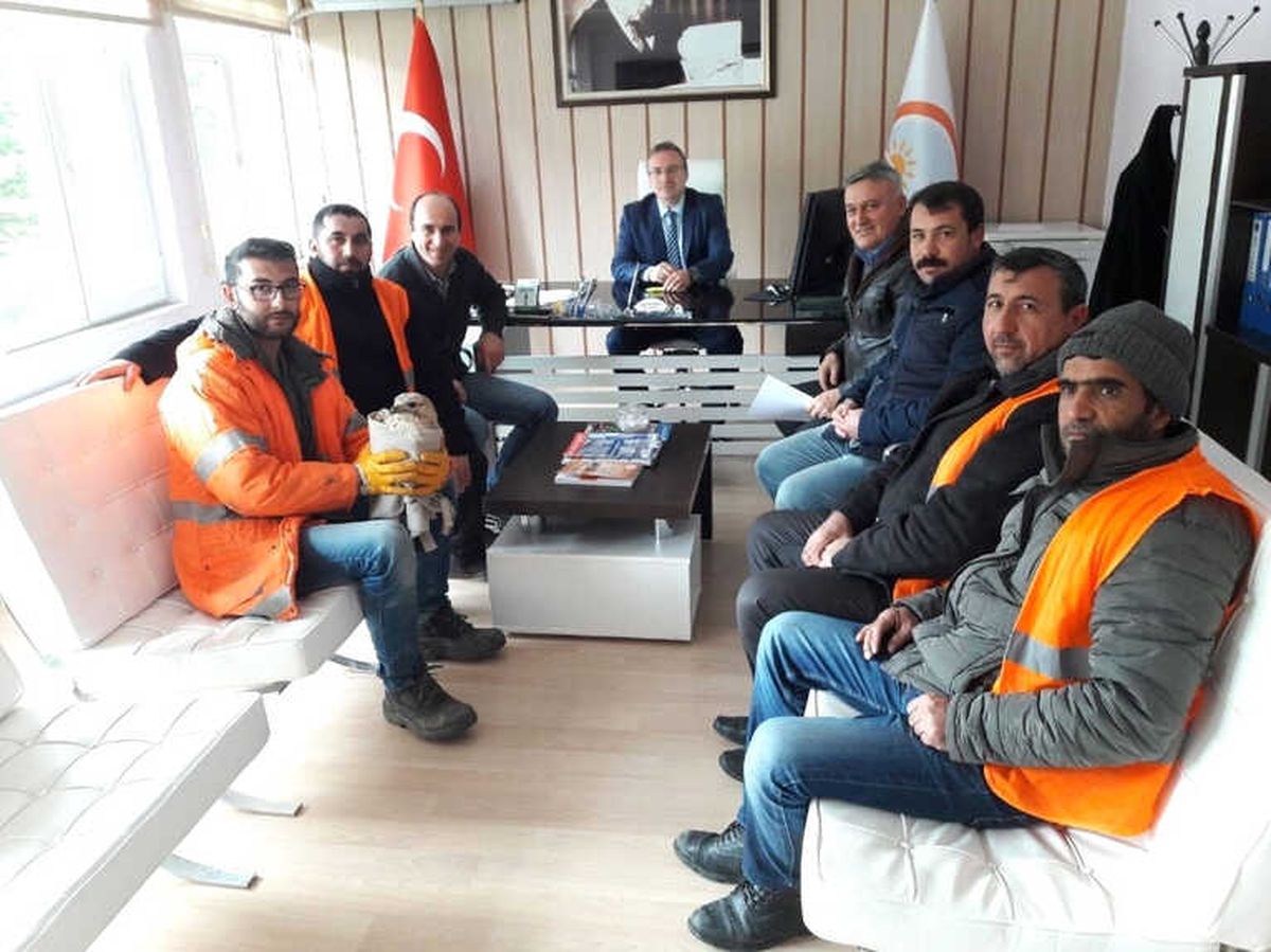 Yaralı Kartala Karayolları Ekibi Sahip Çıktı