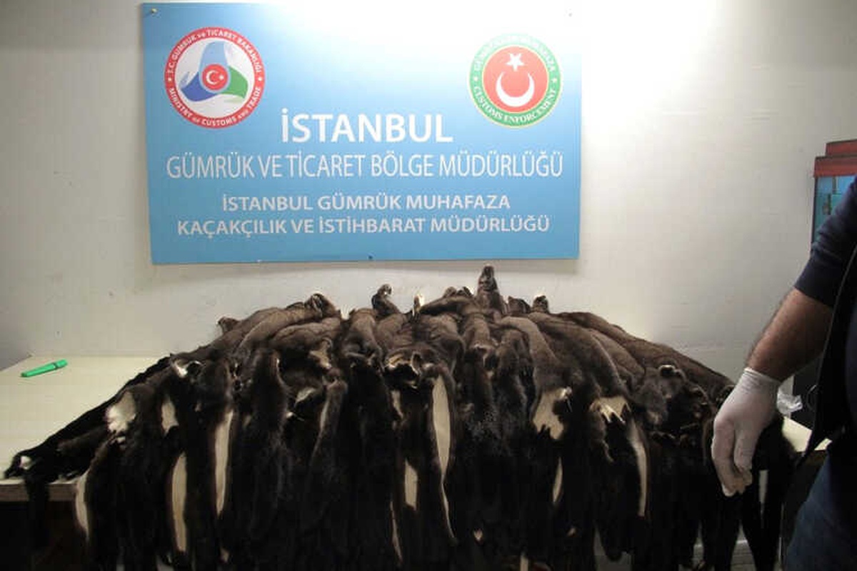 Atatürk Havalimanı\'nda \'Porsuk Kürkü\' Operasyonu