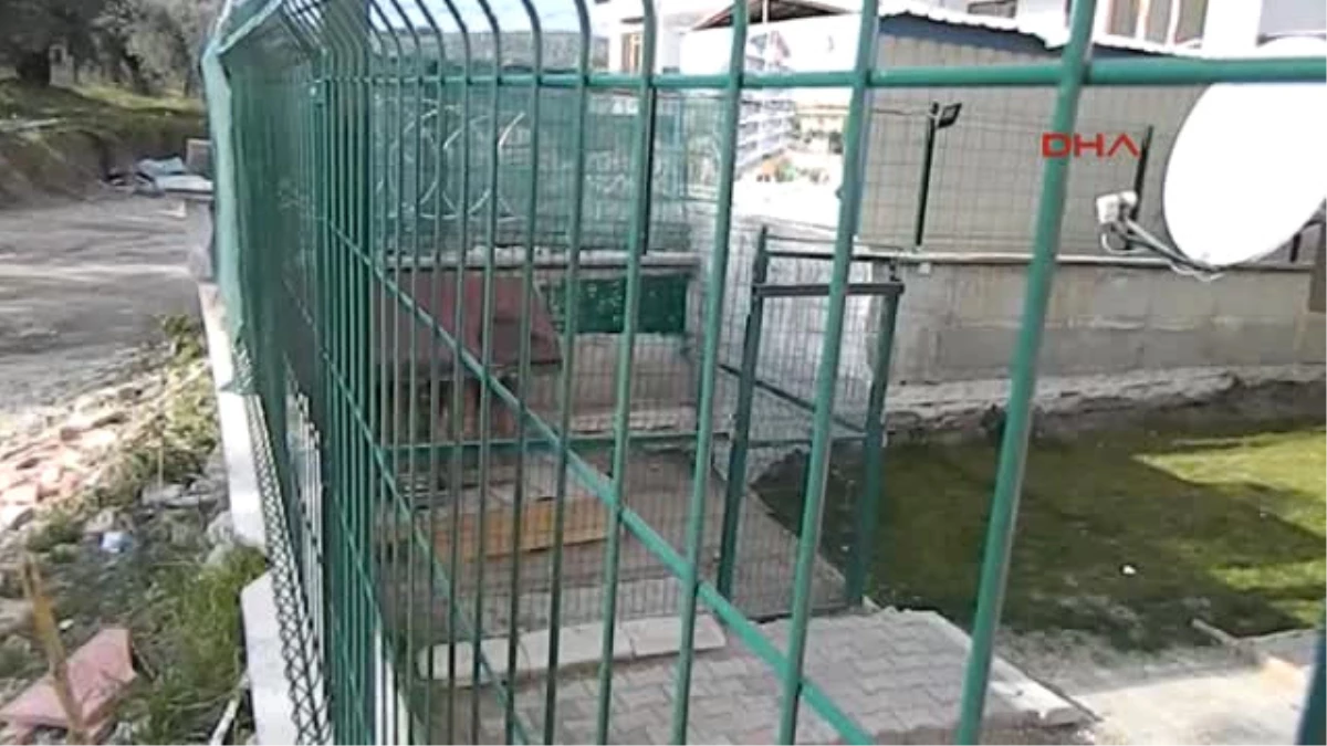 Bursa-Havlama Cinayeti Sonrası Köpeklerini Alarak Binadan Ayrıldılar