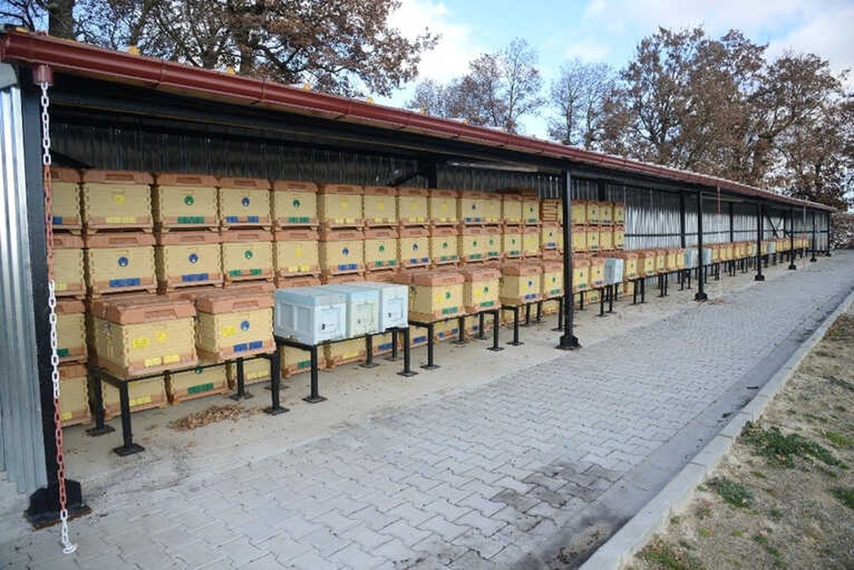 Büyükşehir Belediyesi Bir İlke Daha İmza Attı