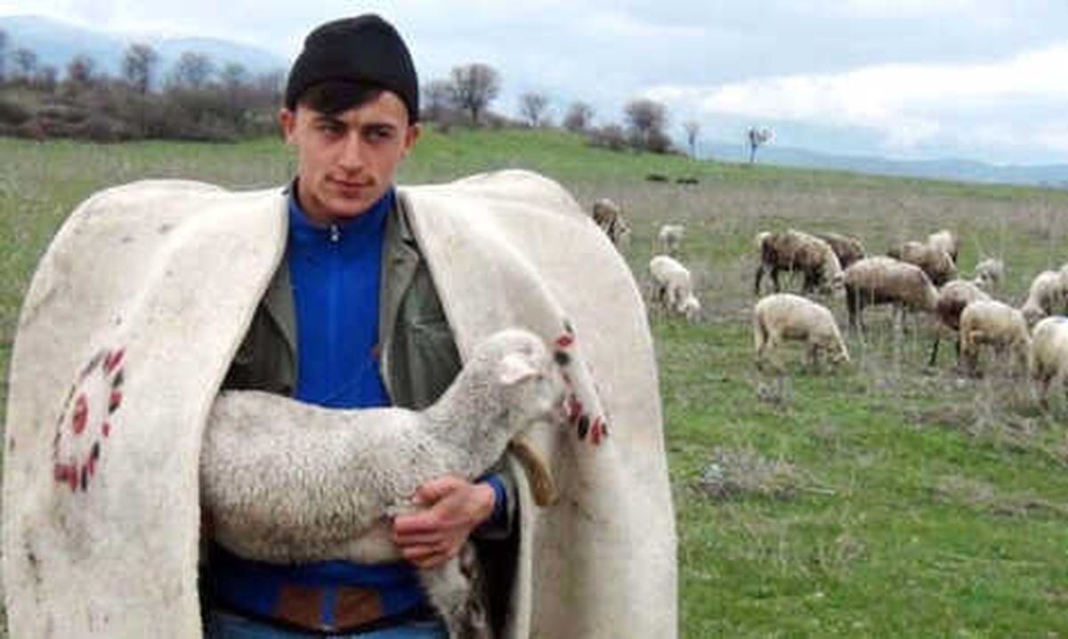 Çobana "Sigorta Primi Desteği" Önerisi