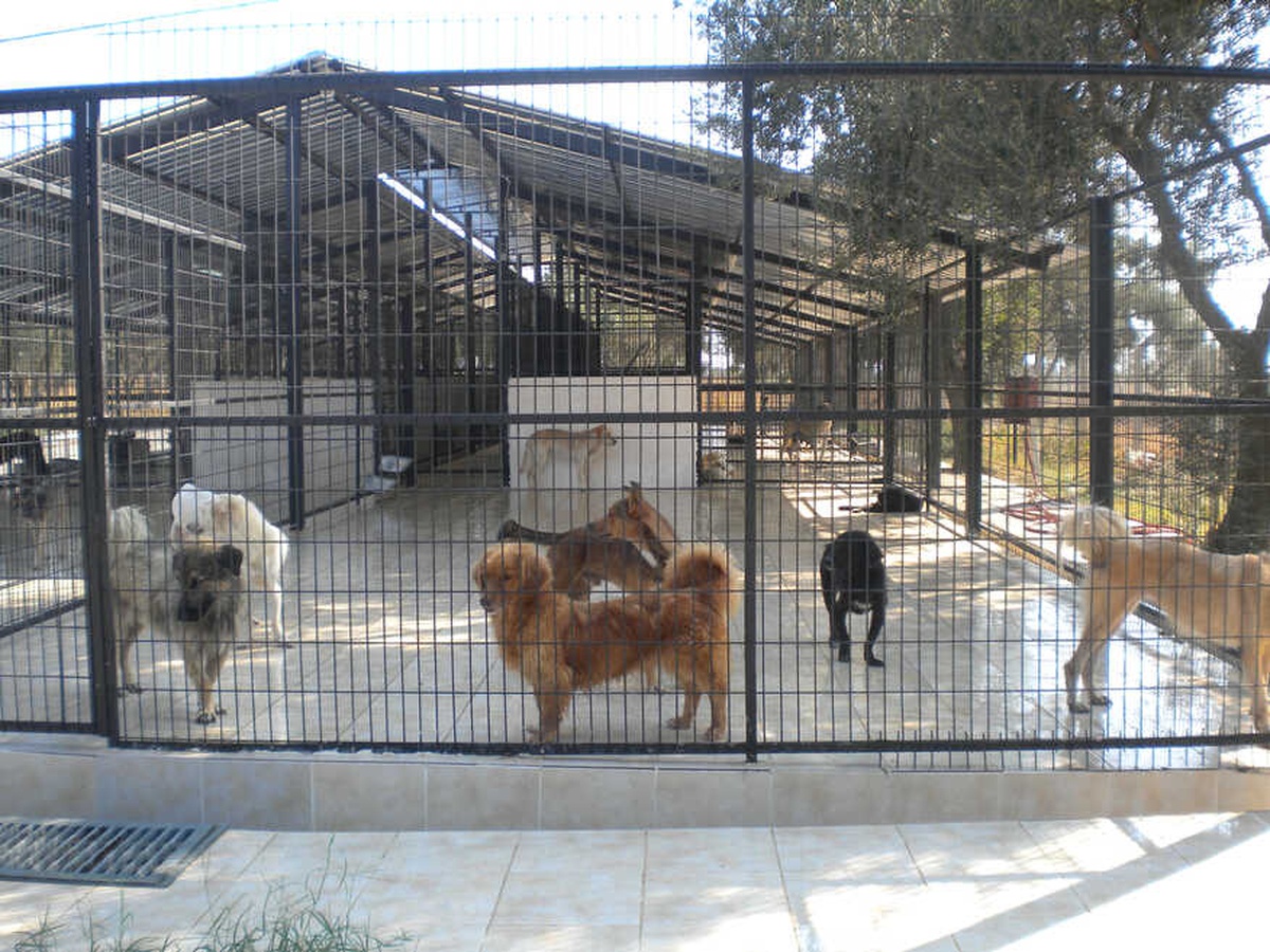 Sokaktaki Dostlarımızın Kahramanı Siz Olun