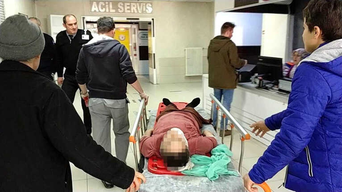 4. Kattan Düştü, Çamaşır İpine Takılınca Ölümden Döndü
