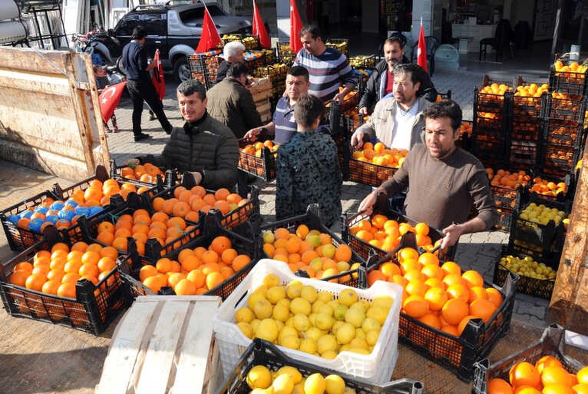 Afrin\'deki Askere Narenciye Desteği