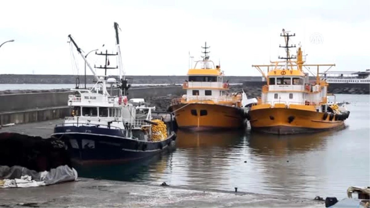 Giresunlu Balıkçılar Limanlara Demirliyor
