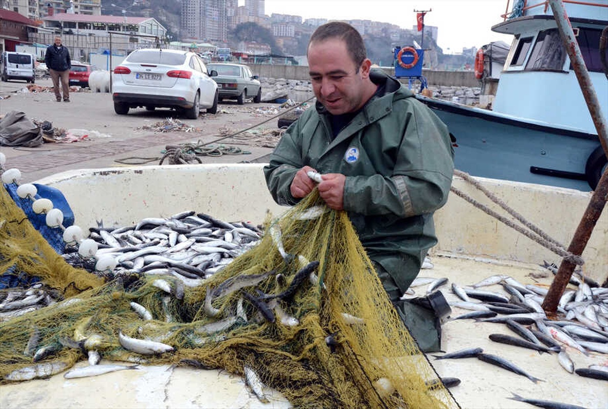 Karadenizli Balıkçıların Kefal Sevinci