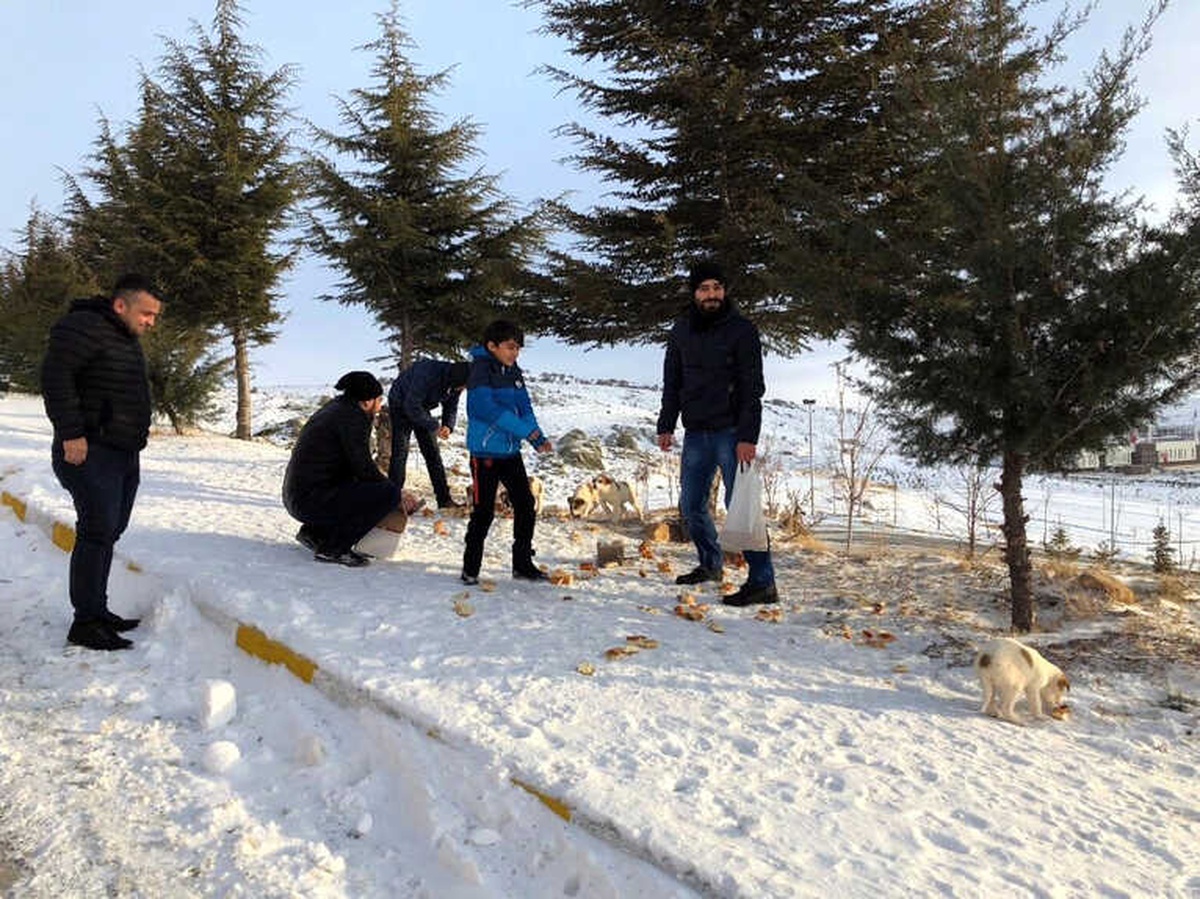 Yozgat\'ta Yaban Hayvanlarına Yem Bırakıldı