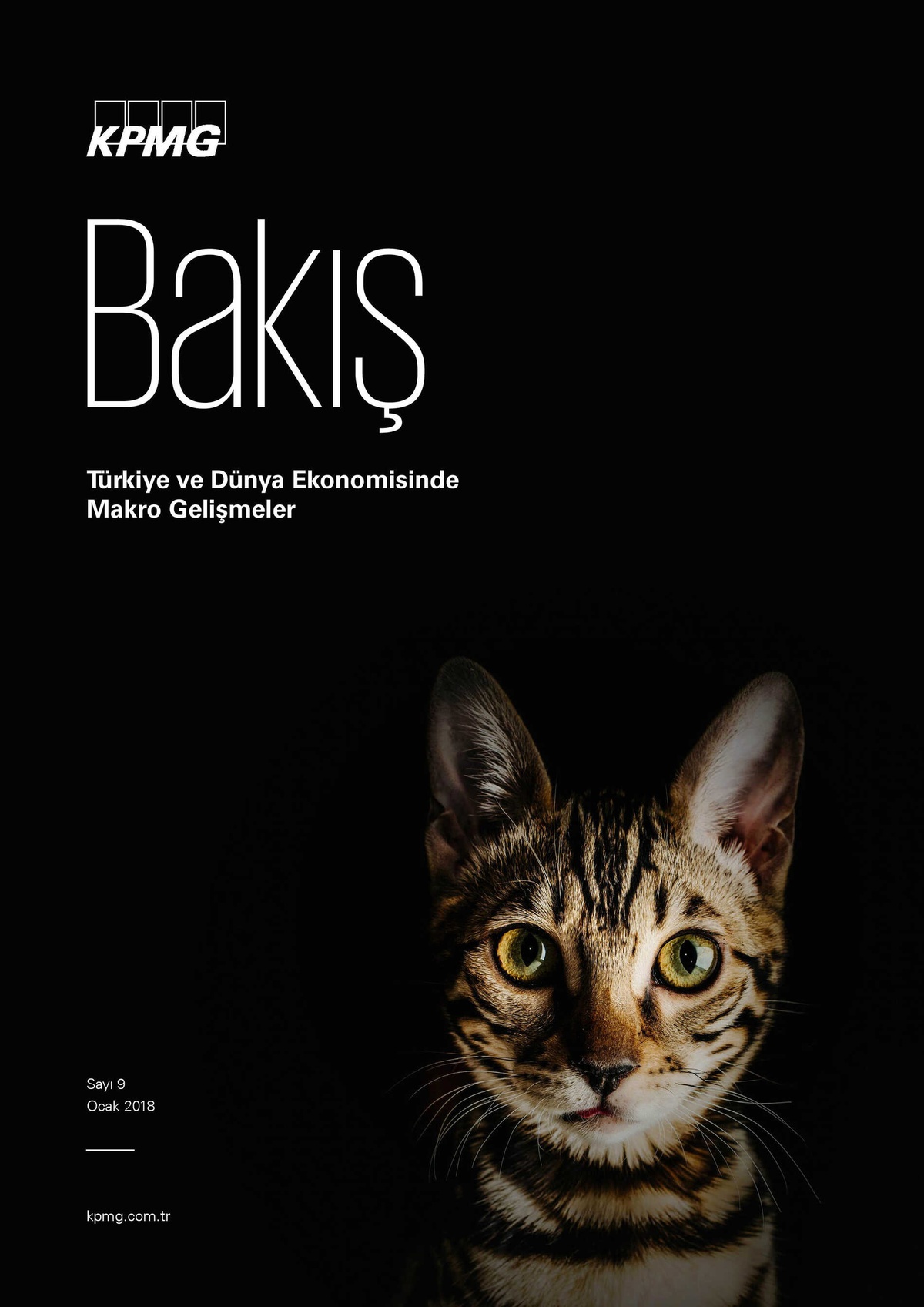 2018\'de Ekonomideki Fay Hatları Kırılgan