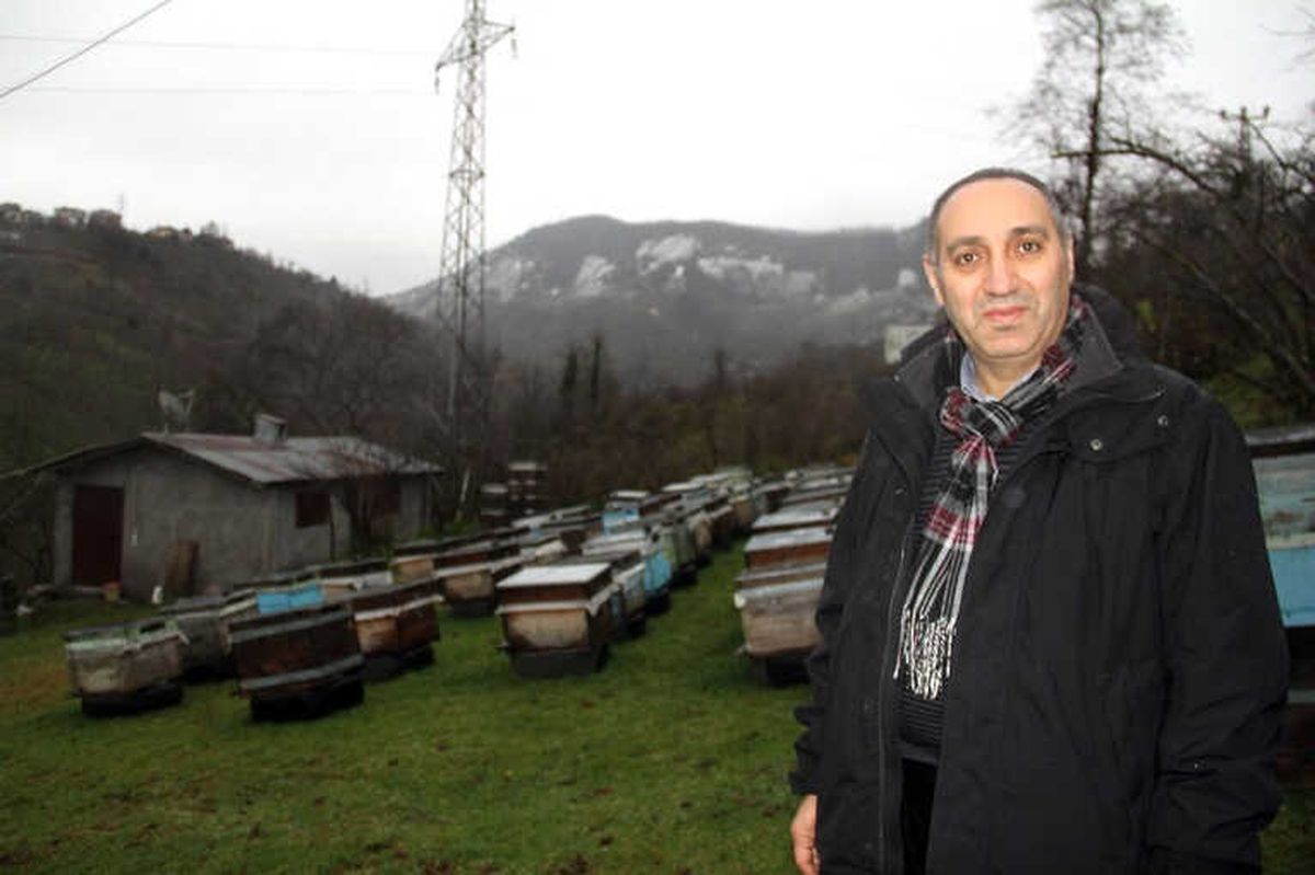 Bilinçsiz İlaçlama Arıcıları Tedirgin Ediyor