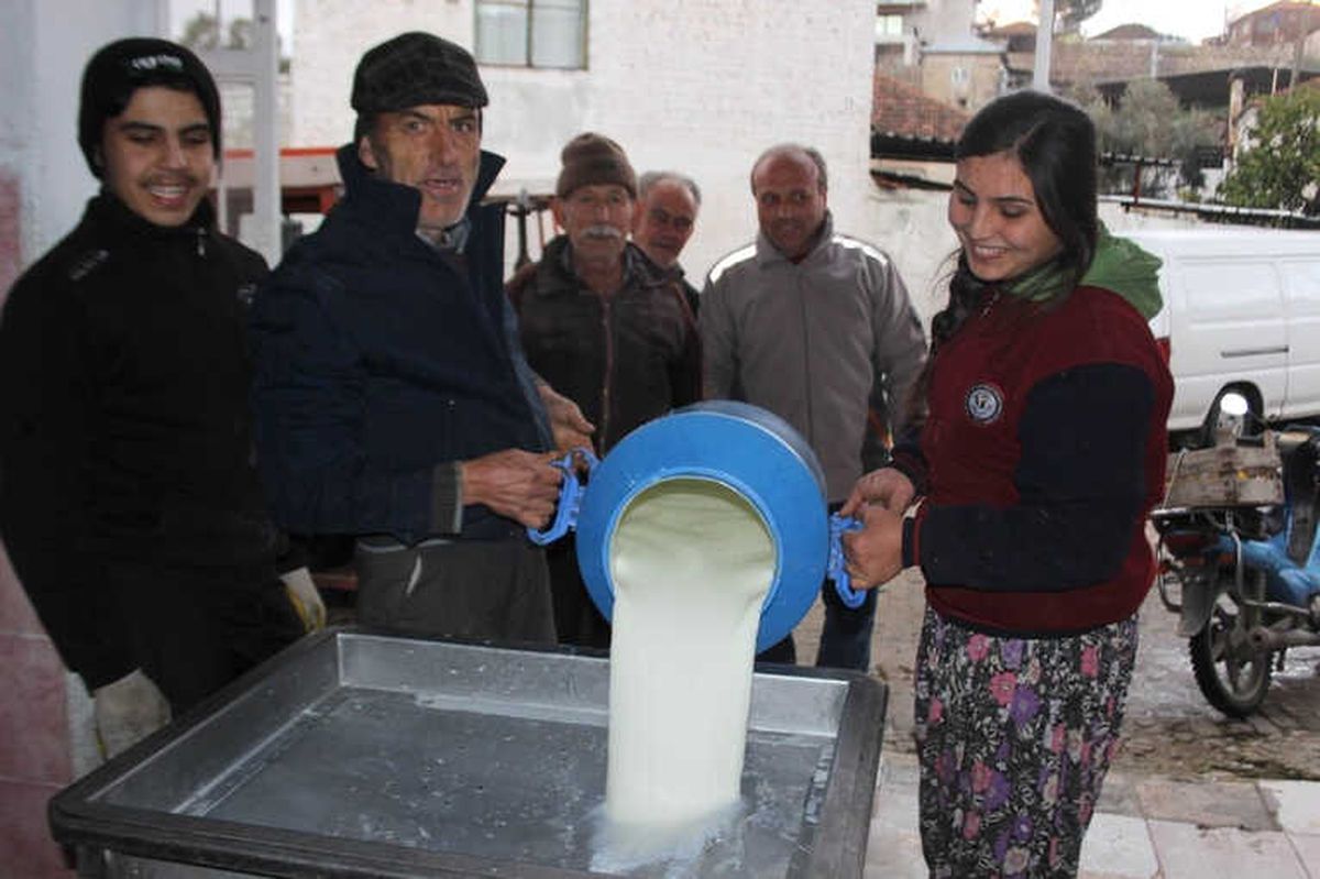 Birlik Olmayı Başaran Köylülerin Gelirleri Arttı