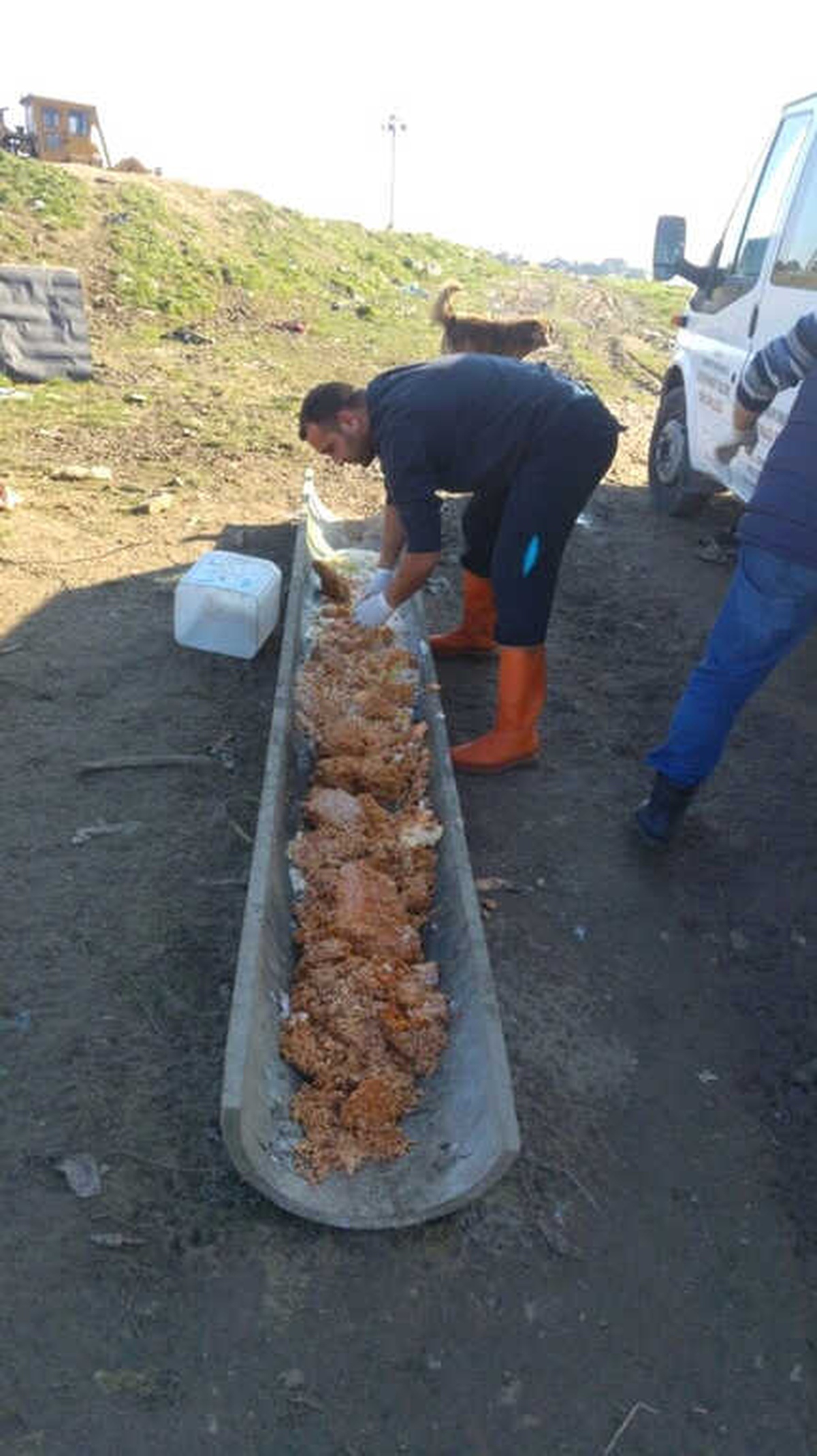Edirne Belediyesi \'Sokak Hayvanlarını\' Yalnız Bırakmıyor