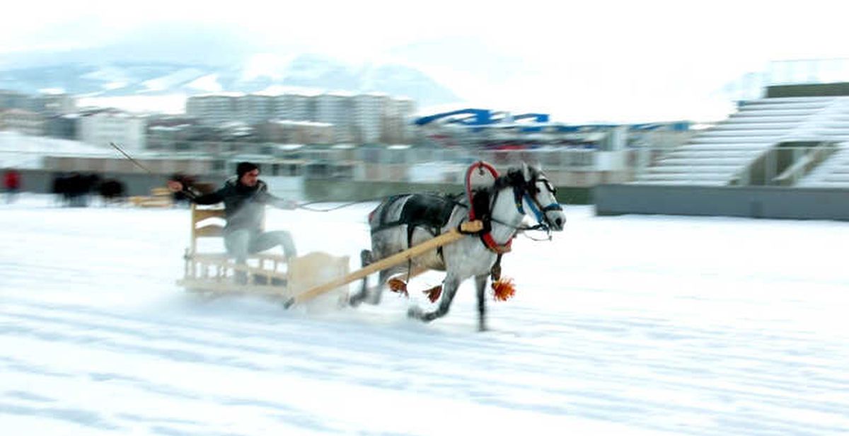 Erzurum\'da Atlı Kızak Yarışı