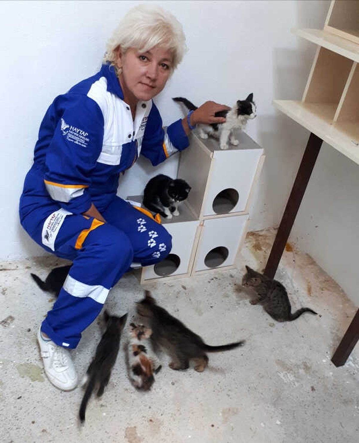 Hayvanlara Karşı İşlenen Suçlar Kabahat Değil Suç Sayılmalı