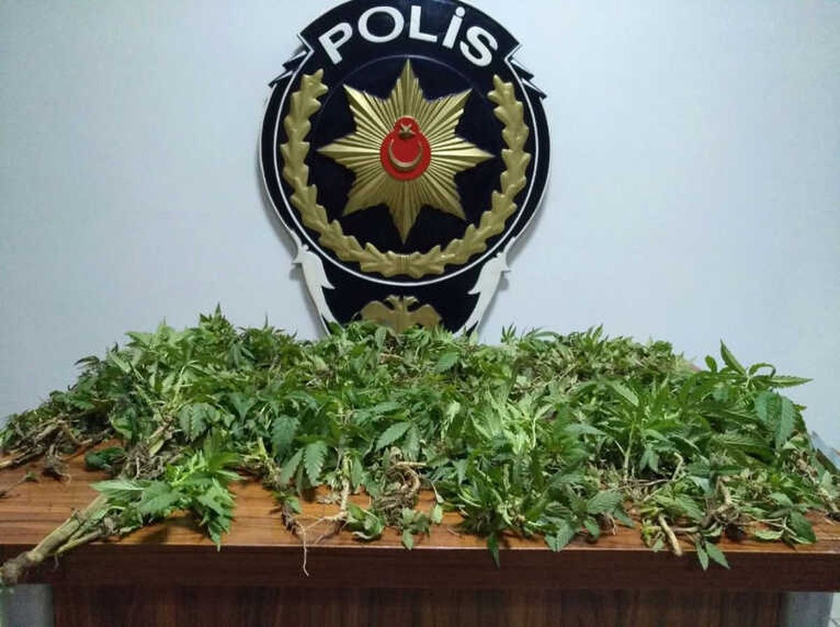 Tokat\'ta Esrar Operasyonu