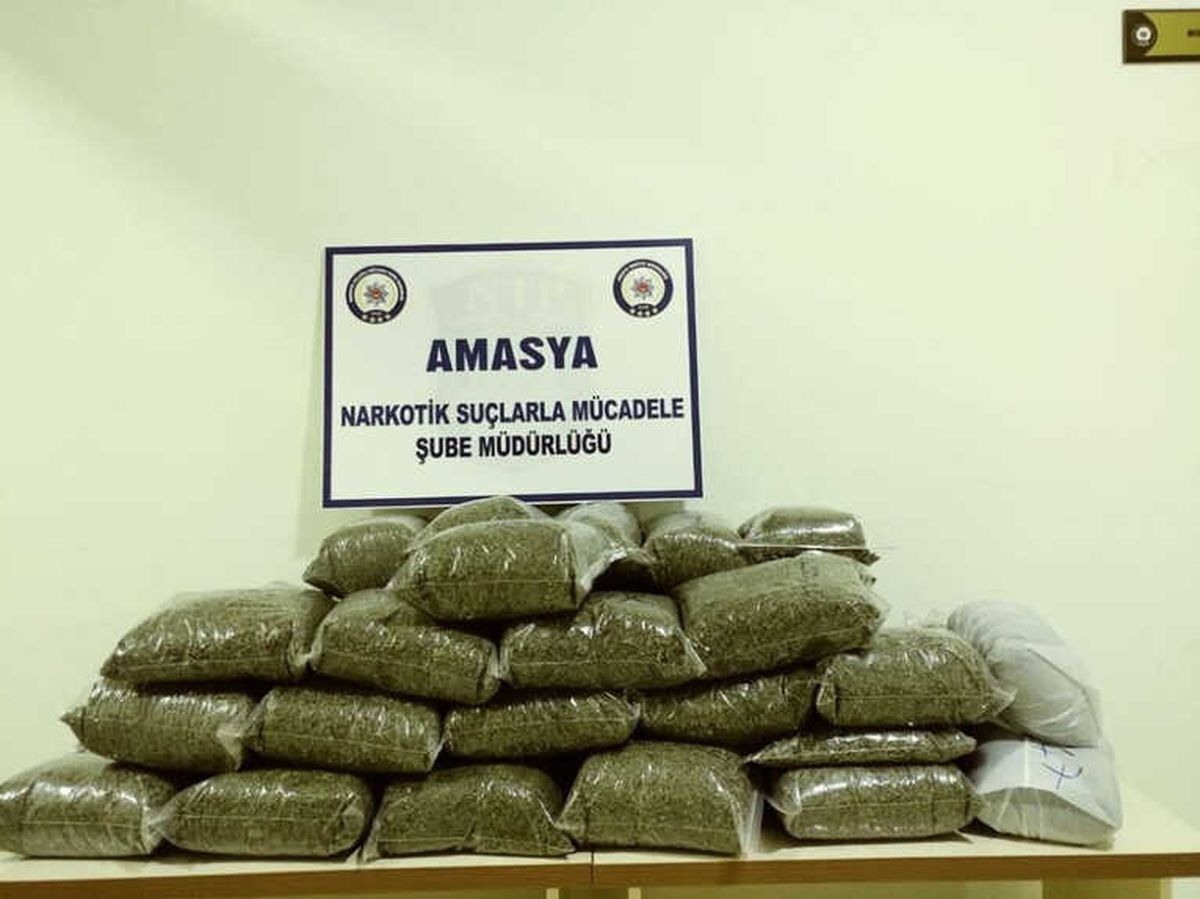 10,9 Milyon TL Değerinde Bonzai Ele Geçti