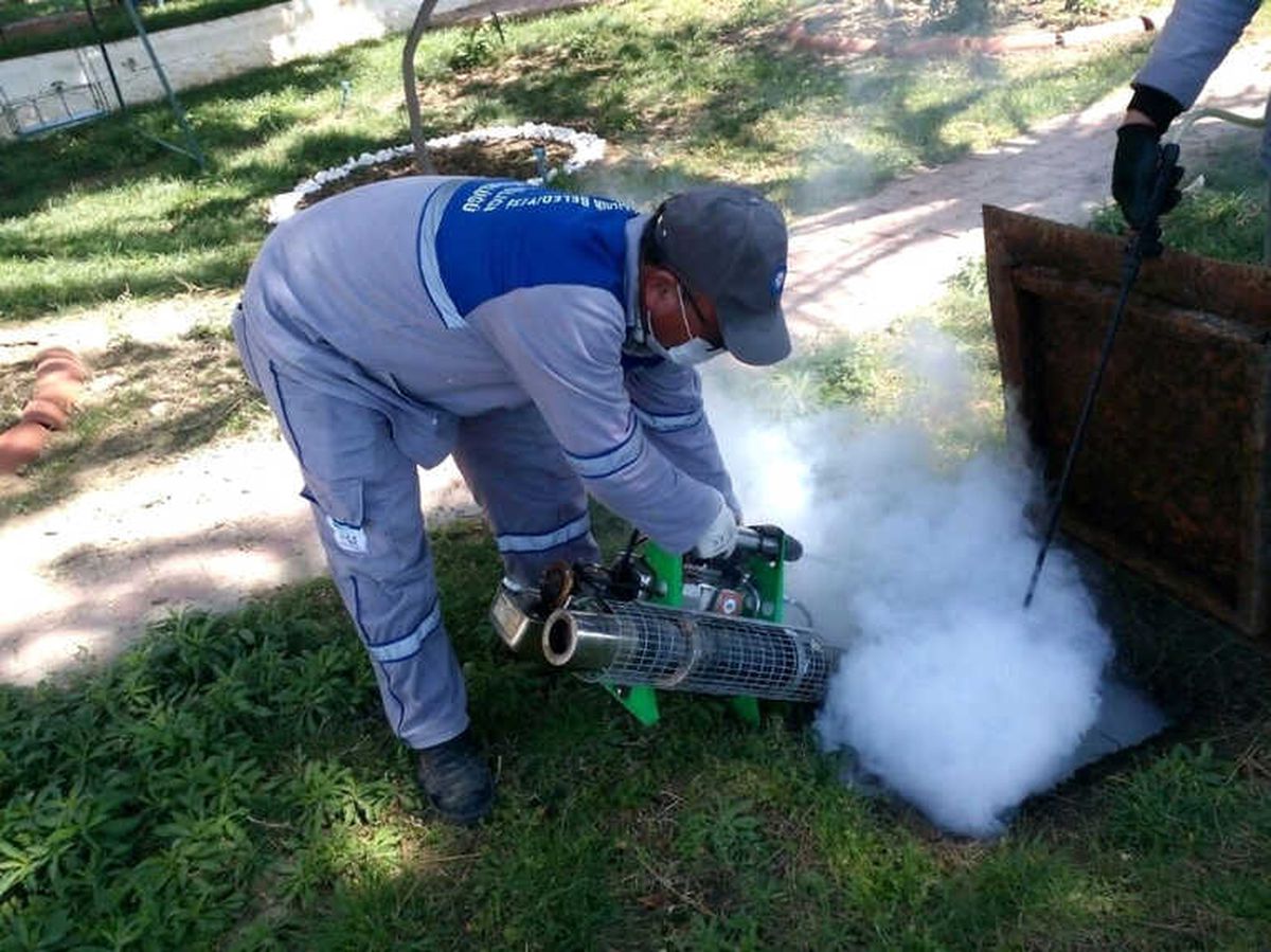 Büyükşehir\'den Sinekle Larva Döneminde Mücadele