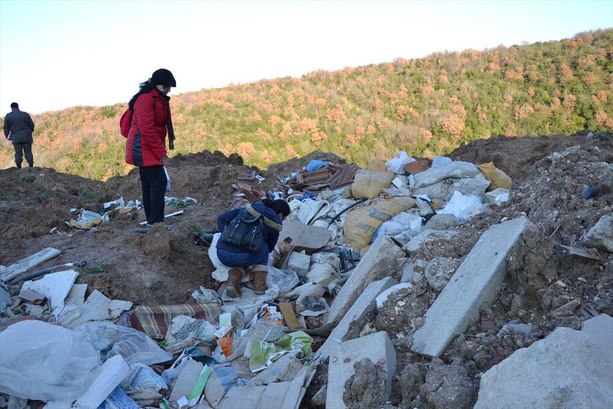 Çanakkale\'de Çöplükte Köpek Leşleri Bulundu