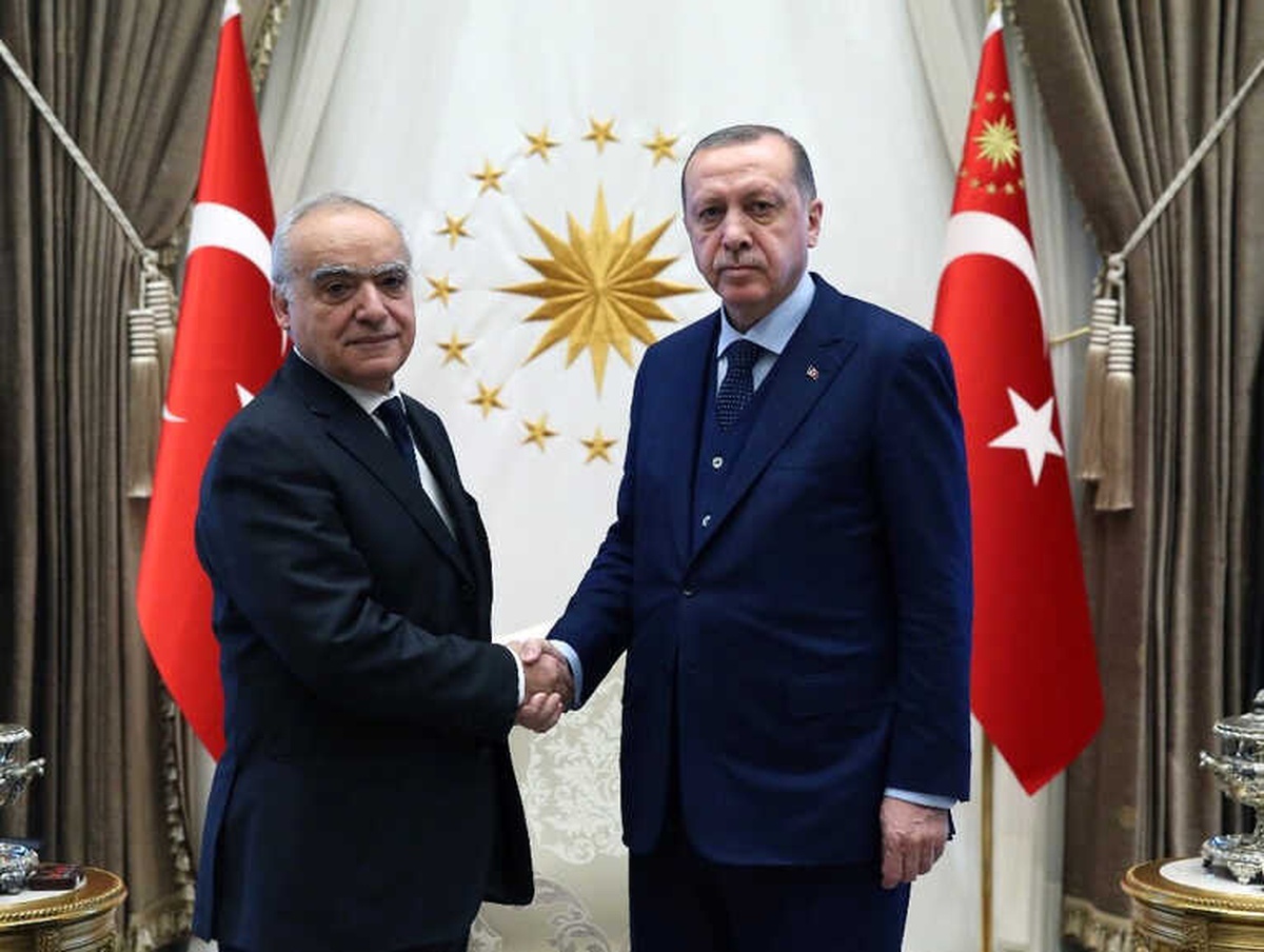 Cumhurbaşkanı Erdoğan, BM Genel Sekreterinin Libya Özel Temsilcisini Kabul Etti