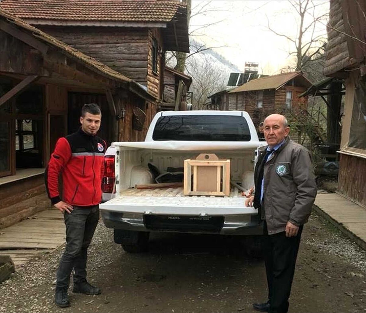 Köpeklerin Saldırısına Uğrayan Tilki Tedavi Altına Alındı