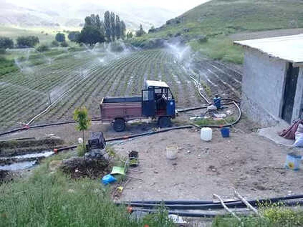 Tarladan Sulama Borularını Çaldılar