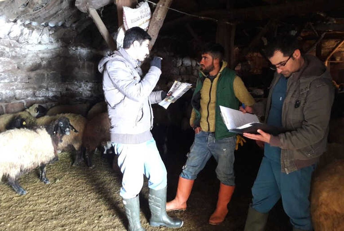 Tatvan\'da Hayvan Ölümlerine Karşı Bilgilendirme Eğitimi