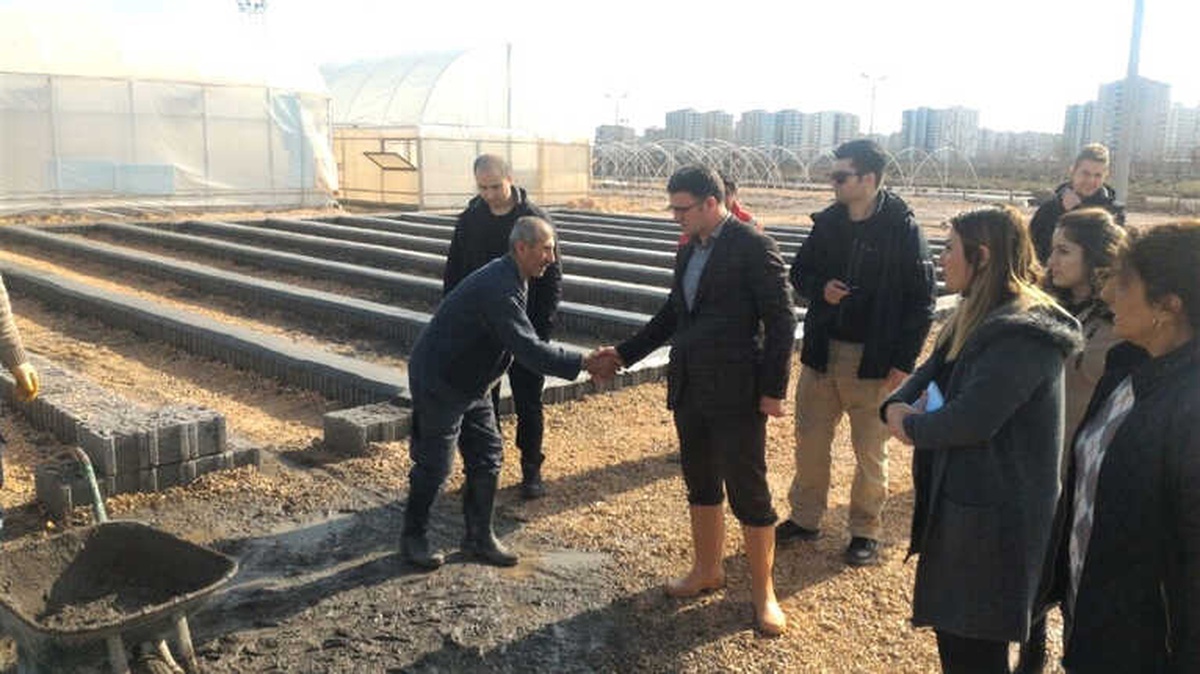Balcı, Fidan ve Çiçek Üretimi Yapılan Serada İncelemelerde Bulundu
