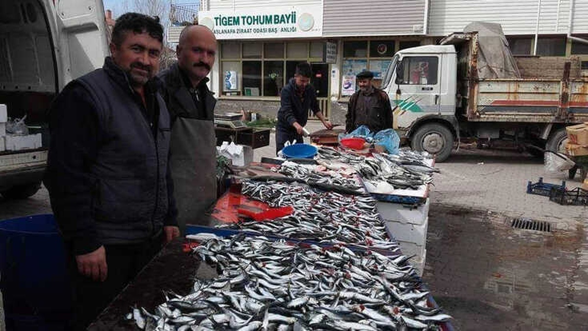 Balık Fiyatları Cep Yakıyor