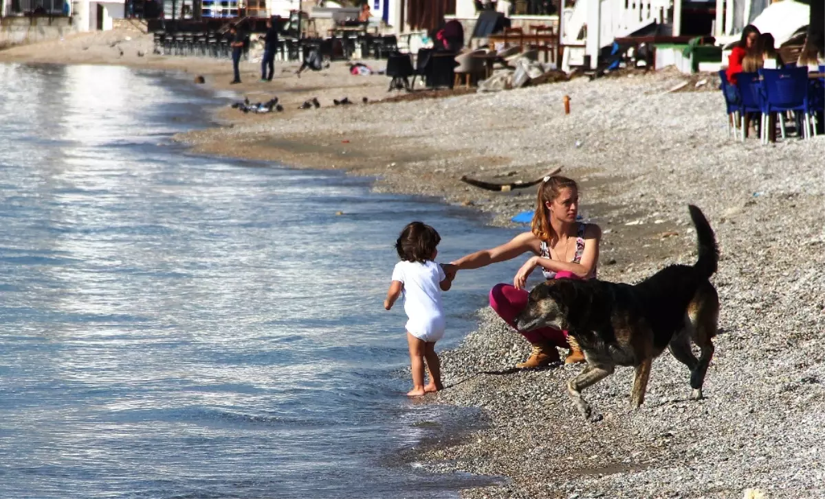 Bodrum Ocak Ayında Yazı Yaşıyor