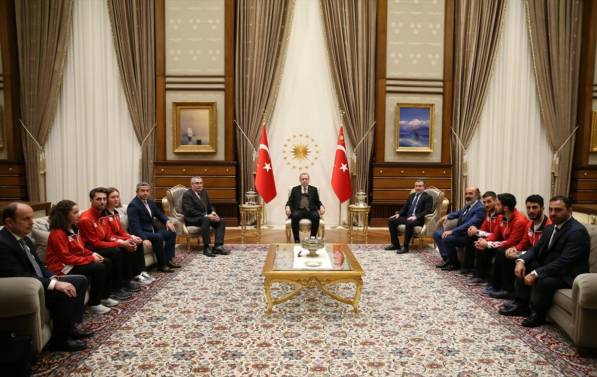 Erdoğan, 2018 Kış Olimpiyatları\'na Katılacak Türk Sporcuları Kabul Etti