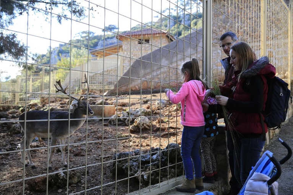 Hayvanat Bahçesi Ziyaretçi Akınına Uğradı