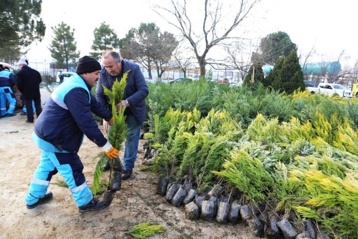 Nilüfer\'in Geleceği İçin Binlerce Fidan Dikecekler