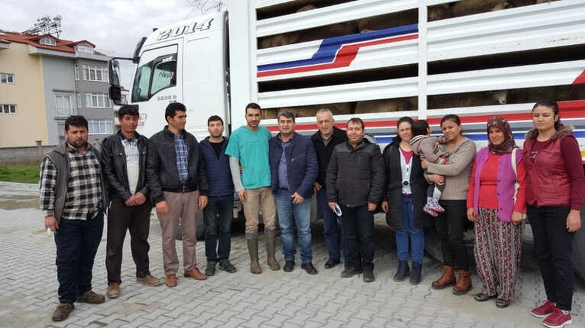 Seydikemer\'de "Genç Çiftçi"Lere Hibe Koyun Desteği