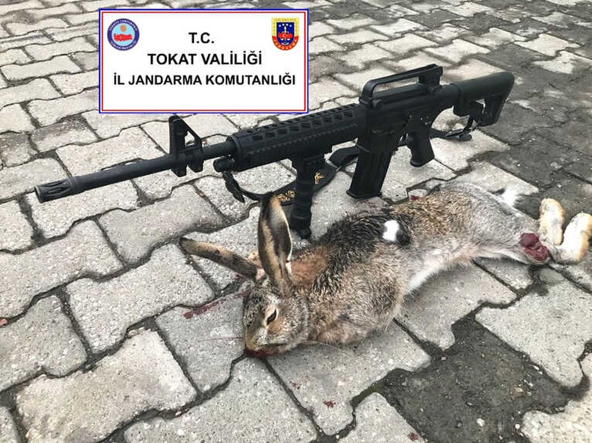 Yaban Tavşanı Vurdu, 2 Bin 312 Lira Ceza Ödedi