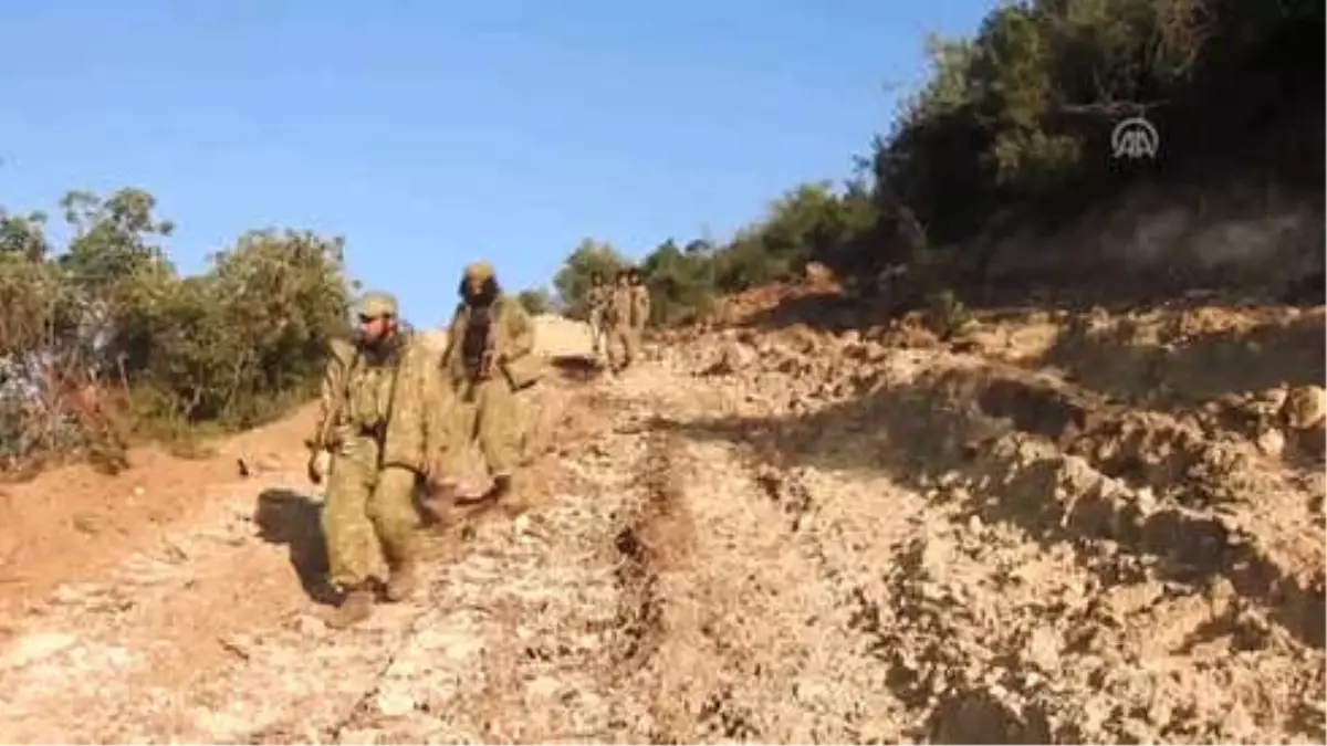 Zeytin Dalı Harekatı