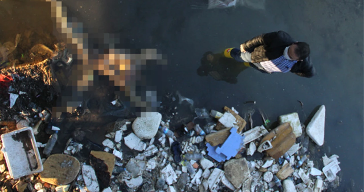 Sulama Kanalına Giden Çocuklar, Parçalanmış Kadın Cesedi Buldu