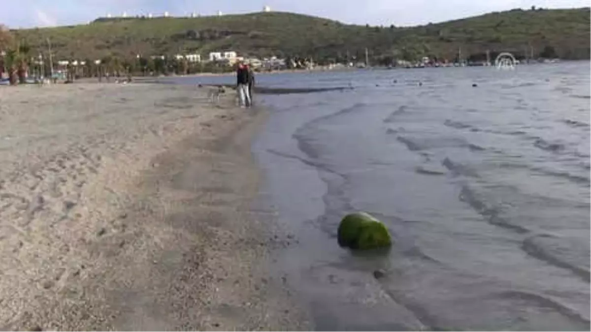 Bodrum\'da Deniz Yaklaşık 10 Metre Çekildi