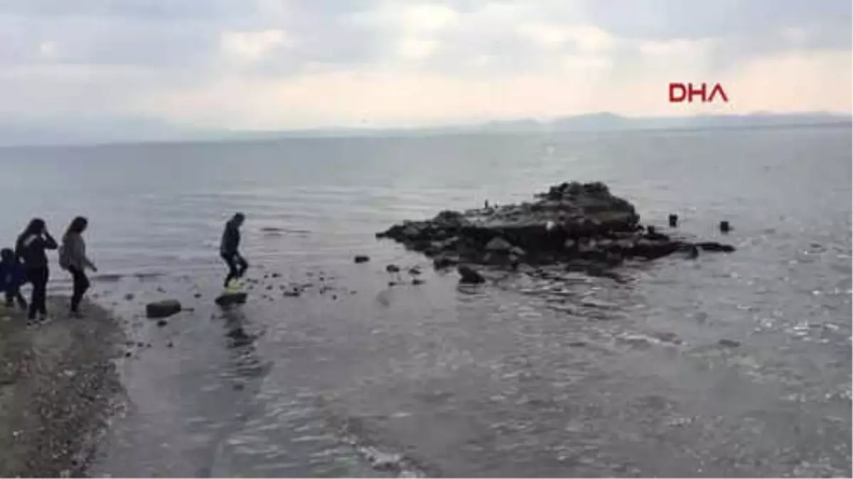 Elazığ Arabanın Çarptığı Sokak Köpeği Tedavi Altına Alındı