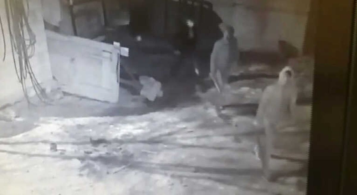 Horasan\'da Hayvan Hırsızlığı Son Anda Önlendi