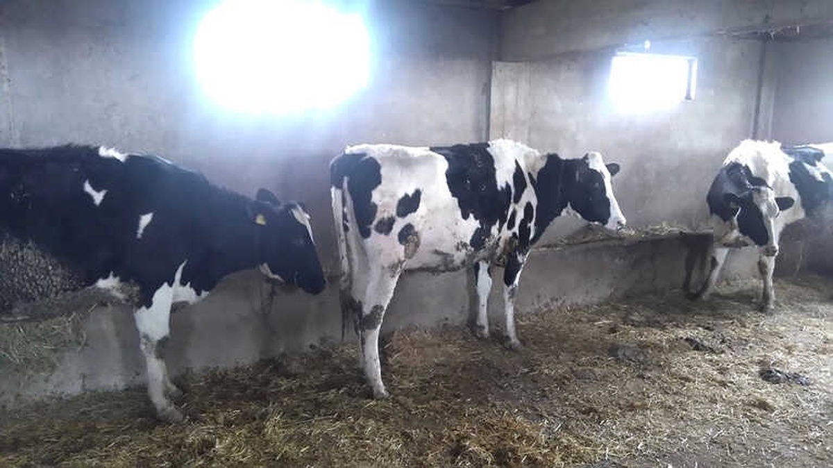 Kendi İşini Kuran Eski Hükümlü Hayata Yeni Bir Başlangıç Yaptı