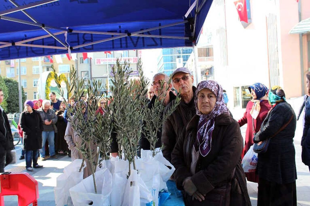 Kocaeli\'de Afrin Operasyonuna Destek İçin Zeytin Fidanı Dağıtıldı