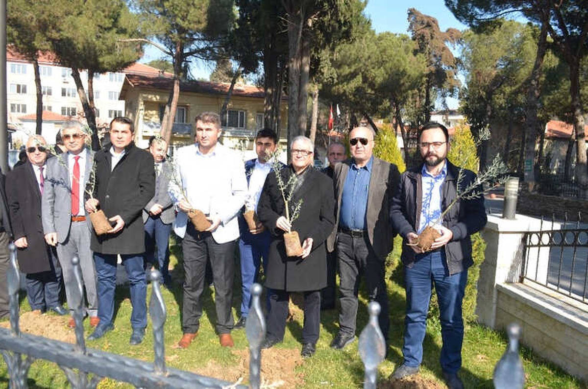 Zeytin Dalı Harekatına Zeytin Fidanı Dikerek Destek Oldular