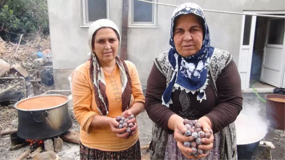 Andız Pekmezinin Kilosu 20 Liradan Satılıyor