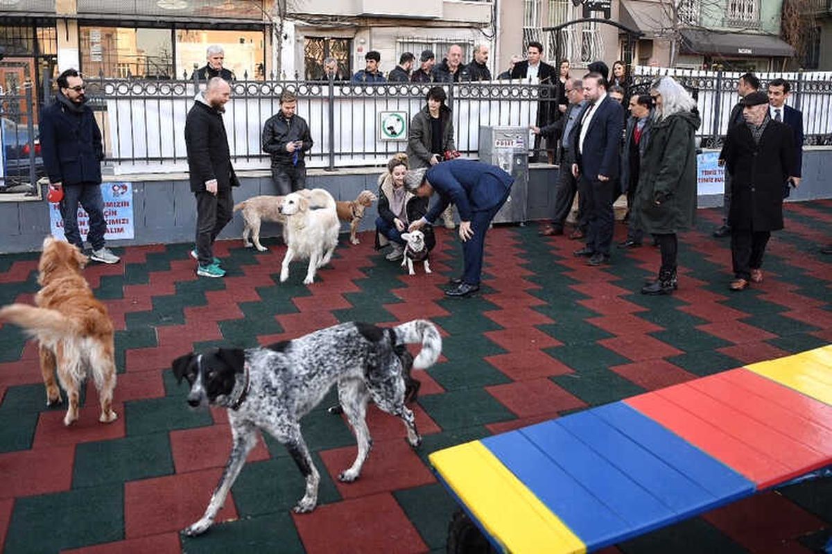 Beyoğlu\'nda Hayvanlar İçin Pati Park Açıldı