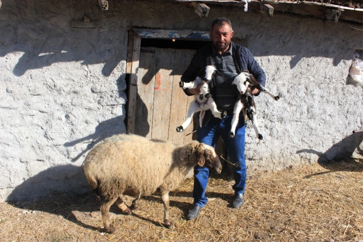 Böyle Vicdansızlık Görülmedi