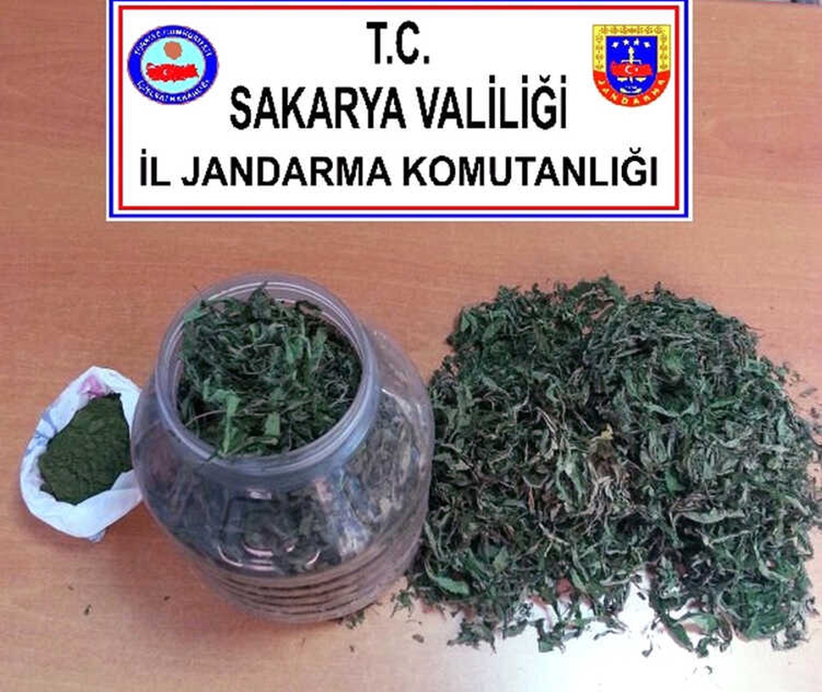 Jandarmanın Takibinden Kaçamayarak Gözaltına Alındı